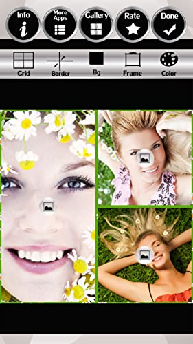 Collage de la foto de la manzanilla