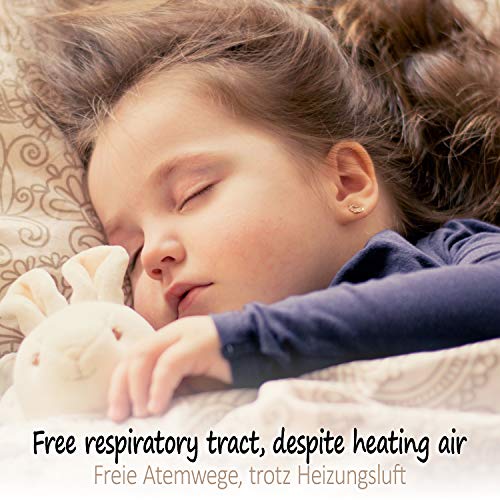 com-four® Humidificador de Acero Inoxidable 2X - Calentador para Colgar en el Calentador - Evaporador de radiador con Dos Ganchos en S