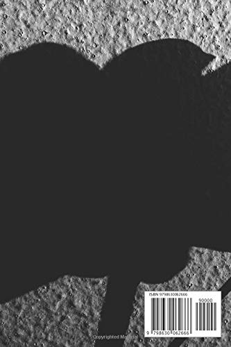 Composition Notebook: Landscapes Black And White Photo Of A Daisy Nature Lovin Sob Composition Notebobok Over 50 Sheets