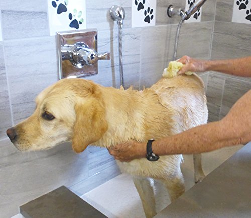 Constantia Pets Esponjas de Mar para Perros - 3pz Cuidado Natural de la Piel y Aseo de Mascotas