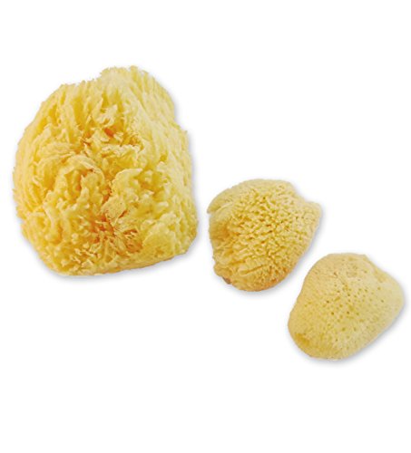 Constantia Pets Esponjas de Mar para Perros - 3pz Cuidado Natural de la Piel y Aseo de Mascotas