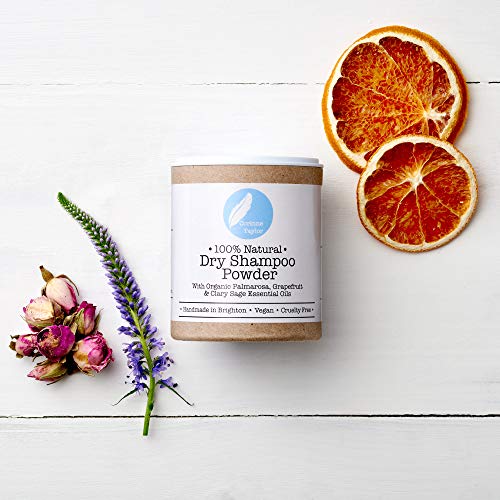 Corinne Taylor - Champú seco en polvo, 100% natural, orgánico, vegano y no testado en animales. 85 g