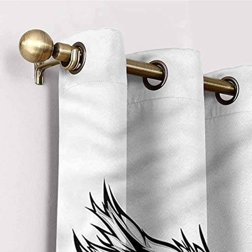 Cortinas Aishare Store, cortinas de ventana de 274,3 cm de largo, para ojo, mirada de pájaro de presa, cortinas aislantes para oscurecimiento de habitación (2 paneles)