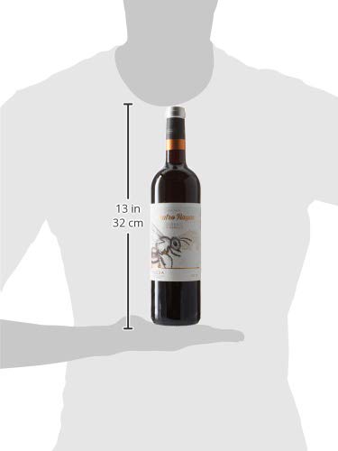 Cuatro Rayas Vino Tinto Roble Organic Tempranillo Ecológico D.O. Rueda - 6 Botellas de 750 ml (4.5 L)