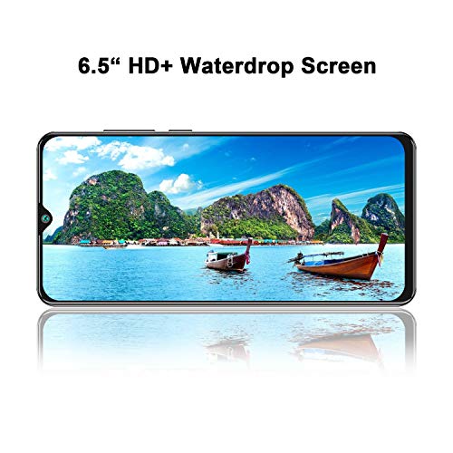 CUBOT Note 20 Smartphone 4G, Teléfono Móvil Libre Android 10.0 6,5 Pulgadas 64GB ROM 4200mAh Quad Cámara12+20MP, Face ID GPS WiFi Dual SIM Quad-Core, Negro