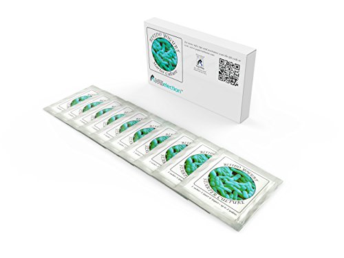 Cultivos de yogur – Bolsitas de cultivo liofilizado para preparar Bifido-yogur (paquete de 10 bolsitas).