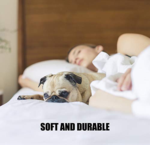 Daesar Juego de Ropa de Cama 3 Piezas,Juego Cama Nordico Chica Patrón de Flechas Negro Blanco Gris Cama 120 Edredón 160x210cm Sábana 180x230cm Almohada 48x74cm x 1