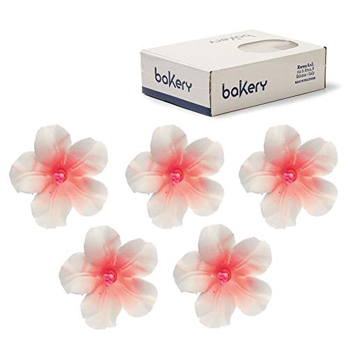 Decora 12 Azalea De Azúcar Blanco/Melocoton 240 g