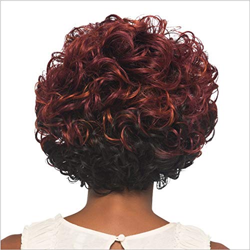 DOUWAN Las raíces de Las Mujeres Vino Tinto Corto el Pelo Rizado Negro Natural Fluffy Peluca for Cosplay del Vestido de Diario, Corto y Rizado Pelucas (Color : Vino Rojo)