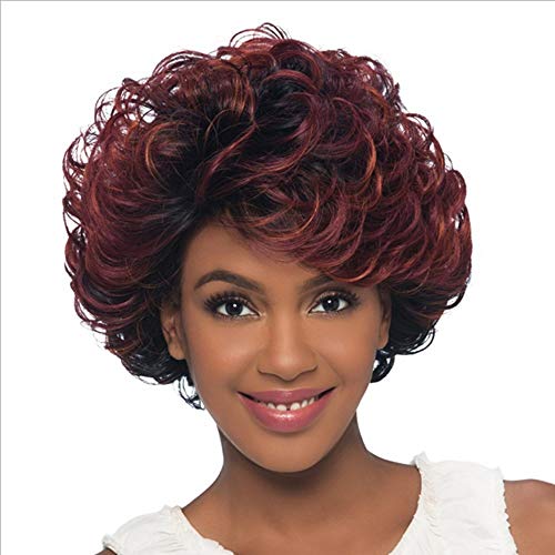 DOUWAN Las raíces de Las Mujeres Vino Tinto Corto el Pelo Rizado Negro Natural Fluffy Peluca for Cosplay del Vestido de Diario, Corto y Rizado Pelucas (Color : Vino Rojo)