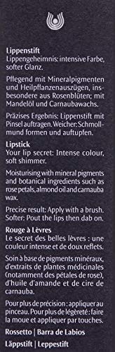 Dr. Hauschka Barra De Labios 06 Azalea 4,1Gr. 100 ml