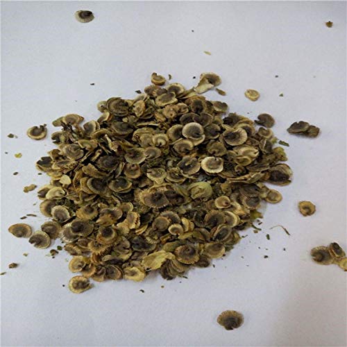 Eastbride perennes Plantas Semillas,Semilla de Malva, pétalos Dobles Rojos, Flor de Malva Rongkui semilla de Calabaza grande-100 g,Balcón Primavera Flores