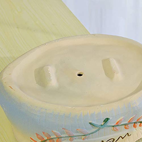 Elf Tiesto De Cerámica del Esmalte del Color Transpirable Suculento Olla Grande