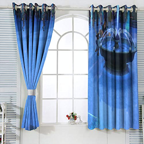 Elliot Dorothy Frozen Elsa and Anna - Juego de cortinas lavables, cortinas opacas para decoración de aislamiento térmico, 42 x 45 cm