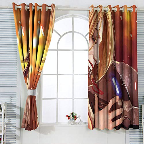 Elliot Dorothy Harley Quinn cartel de película cortinas decorativas personalizadas Chid Cortinas cortina cortina de ventana para decoración de ventanas W55 x L63