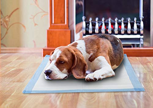 Empapadores desechables para incontinencia - Empapadores super-absorbentes, 60 X 90 cm, 45 Gram (50 unidades)