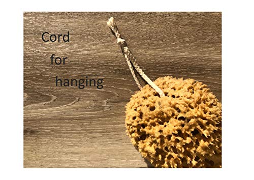 Esponja de mar natural en forma de panal sin blanquear - fuerte y duradera - 100% natural y hipoalergénica - para bebés, niños y adultos - utilizada en baños, exfoliantes, maquillaje, arte, mascotas