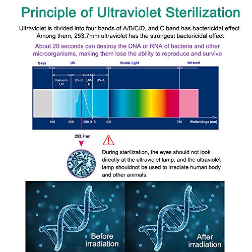 Esterilizador de luz UV USB portátil de desinfección ultravioleta lámpara de mano de esterilización para viajes, hogar y oficina, negro, Type-C
