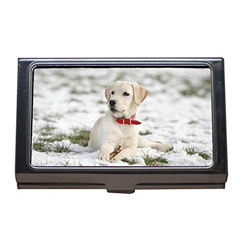 Estuche para tarjetas de crédito, tarjeta de crédito, maletín de identificación, mapa, washington x, chaleco para perro, estuche para tarjetas de visita de acero inoxidable