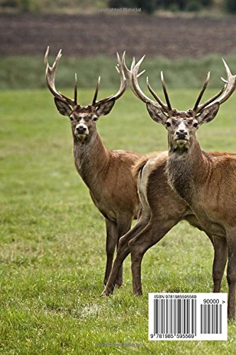 European Deer Notebook: 150 lined pages, softcover, 6 x 9