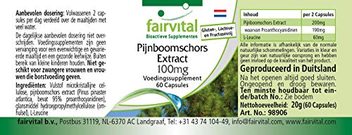 Extracto de Corteza de Pino 100mg - Pinus pinaster atlantica - VEGANO - 95% de proantocianidinas - Dosis elevada - 60 Cápsulas - Calidad Alemana