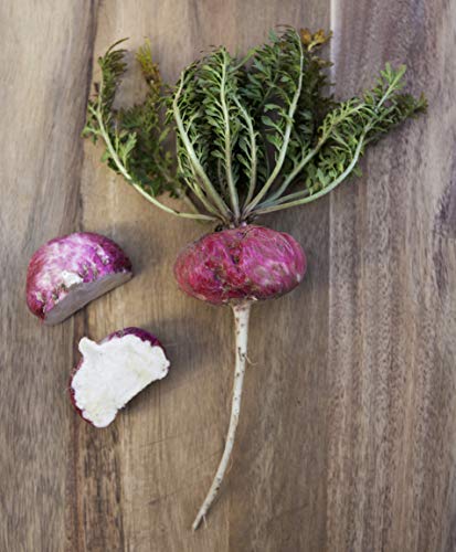 Extracto de Maca Roja Líquida BIO, 59 ml, libre de alcohol, comercio Justo, elaborado a partir de Raices de Maca orgánica roja cultivada en Perú de forma tradicional, sin Gluten y Vegana.