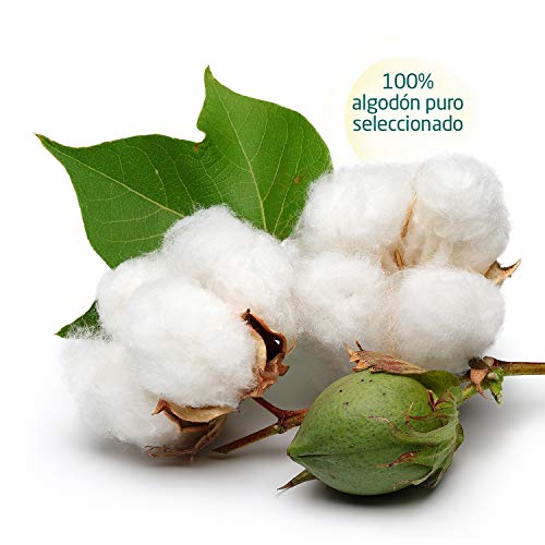 Famos Discos Desmaquilladores, 50 Unidades