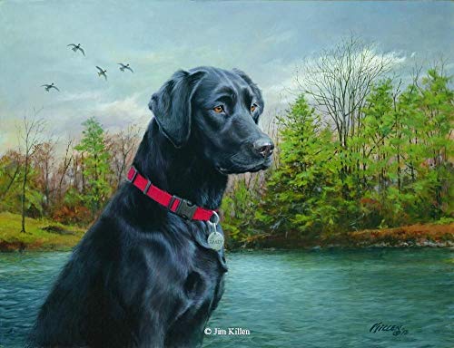 fancjj Puzzle 1000 Piezas-Labrador Retriever-Wooden PuzzleAdolescentes y Adultos, Muy Buen Juego educativo50x75cm(20x30 Pulgadas)