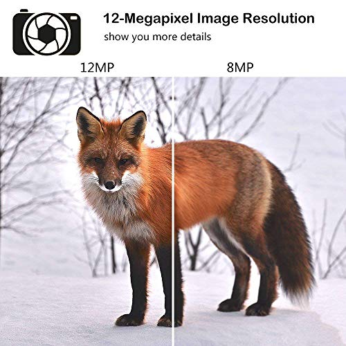 Fantasky Cámara de Caza 16MP 1080P Cámara de vigilància de la Vida Silvestre,Cámara de Juego de detección Nocturna sin LED de Brillo Diseño Impermeable IP65 (Cian)