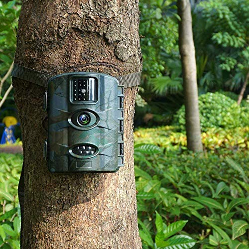 Fantasky Cámara de Caza 16MP 1080P Cámara de vigilància de la Vida Silvestre,Cámara de Juego de detección Nocturna sin LED de Brillo Diseño Impermeable IP65 (Cian)