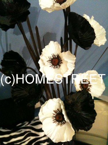 Flores, color blanco y negro – Calidad Poppy Tallo Flores en un jarrón de cristal negro