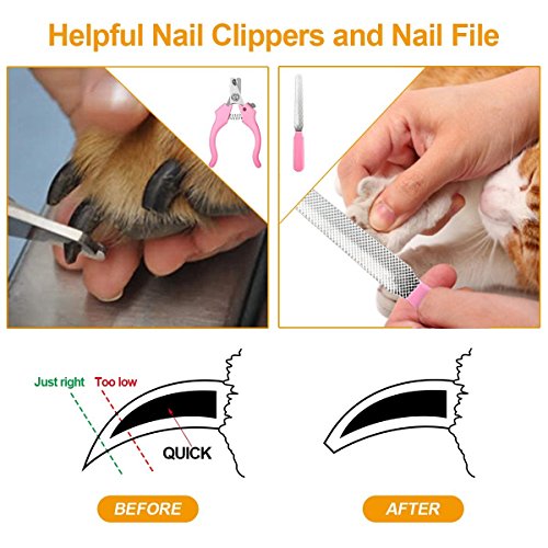 Focuspet Cortapelos para Perro, Profesionales para Perros Gatos Mascotas, Bajo Ruido Peine de Guía Ajustable Peluquería para Mascotas, Recortadora para Perros Clippers para Animal Belleza