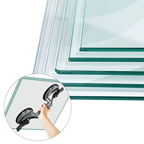 Forever Speed 2x 100 kg Ventosa doble para cristal coche 120 mm Extractor de Paneles