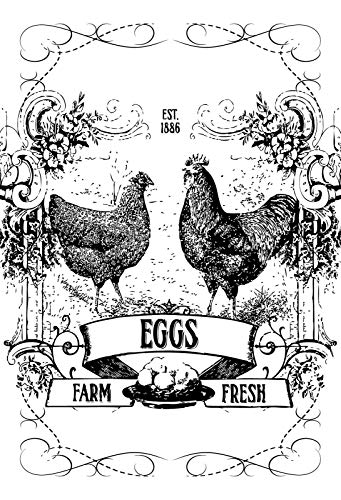 FS Eggs Farm Fresh - Cartel de chapa (20 x 30 cm), diseño de granja