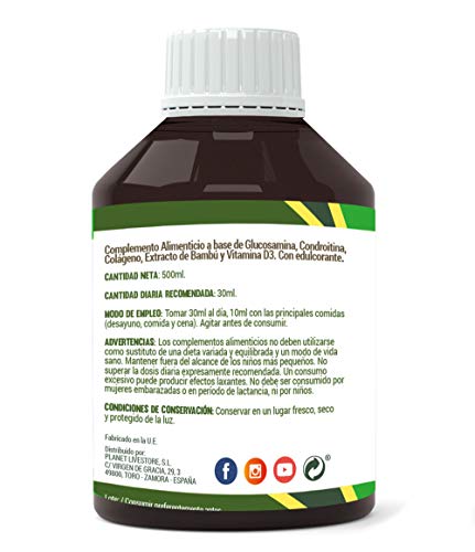 Glucosamina Condroitina| Suplemento de Glucosamina y condroitina con msm – Para la salud de las articulaciones | Huesos Sanos y Cartílagos| Glucosamina Liquida 500 ml – Aquisana