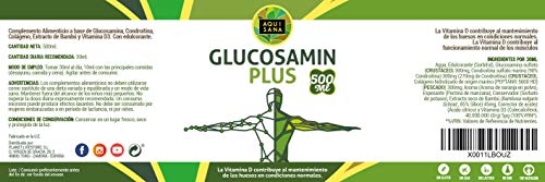 Glucosamina Condroitina| Suplemento de Glucosamina y condroitina con msm – Para la salud de las articulaciones | Huesos Sanos y Cartílagos| Glucosamina Liquida 500 ml – Aquisana