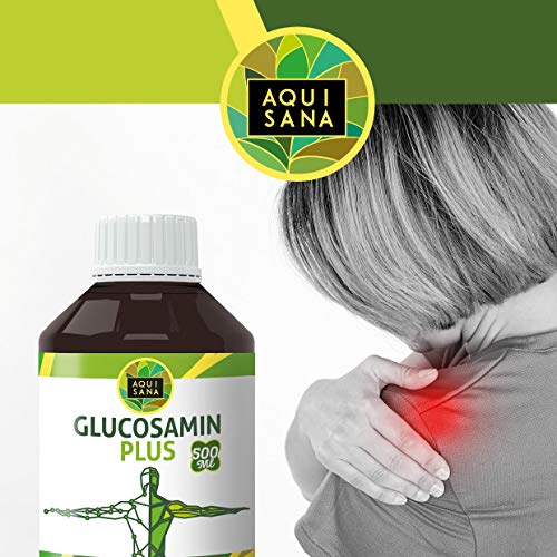 Glucosamina Condroitina| Suplemento de Glucosamina y condroitina con msm – Para la salud de las articulaciones | Huesos Sanos y Cartílagos| Glucosamina Liquida 500 ml – Aquisana