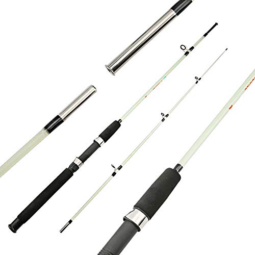 good-girl Fishing rod Azul y Rojo Polo portátil 1.8M 2 Segmento de Spining Casting de Fibra de Carbono/Vara M Power señuelo Suave de la Pesca, Azul Cielo, 1,8 m