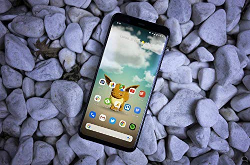 Google Pixel 4 XL 16 cm (6.3") 6 GB 64 GB Negro 3700 mAh Pixel 4 XL, 16 cm (6.3"), 1440 x 3040 Pixeles, 6 GB, 64 GB, 16 MP, Negro