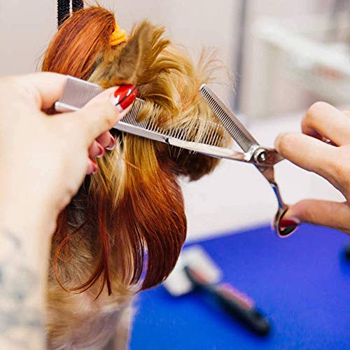 GOYAN Peluquería Tijeras para Mascotas,afiladas Profesionales, Tijera De Peluquería Duradera De Acero Inoxidable para Familias, Mascotas, Peluquería