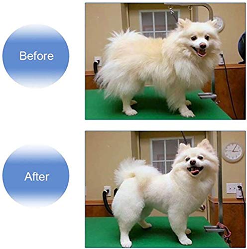 GOYAN Tijeras De Peluquería Barbero Profesional Conjunto,Acero Inoxidable De Peluquería Tijeras Adecuado para Peluqueros, Salones De Peluquería