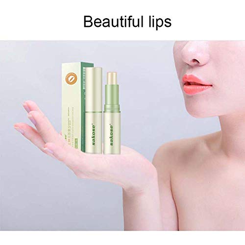 GsMeety Protector Labial, Máscara del Labio para Labios Secos, de Labios Hidratante para El Cuidado y Tratamiento de Labios Lip,1 Pack
