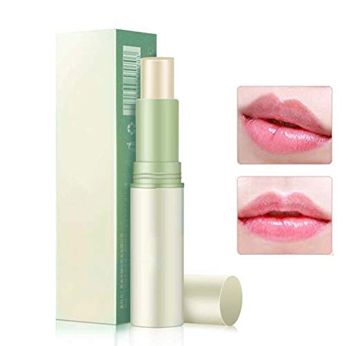GsMeety Protector Labial, Máscara del Labio para Labios Secos, de Labios Hidratante para El Cuidado y Tratamiento de Labios Lip,1 Pack