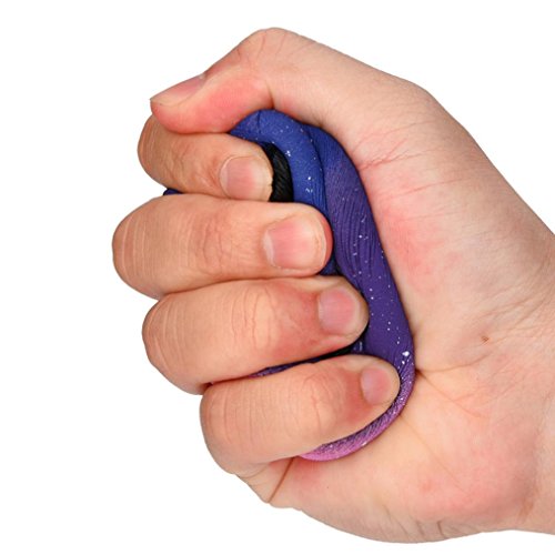 Gusspower Juguetes de descompresión,Galaxy Panda bebé Crema perfumado Blando Lento Aumento Exprimir niños Juguete Anti-estrés Autismo sensorial Dejar de Fumar Dedo Juguete (10 * 10 * 7.5cm) (B)