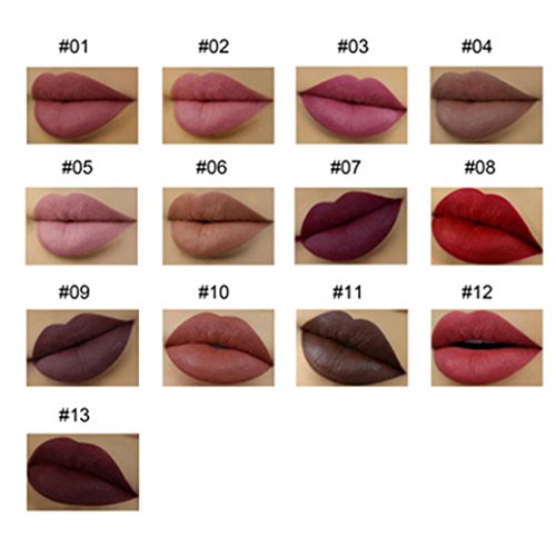 Gusspower lápiz labial mate de maquillaje permanente,lápiz labial líquido brillo mate duradero cosméticos labial impermeable y Delineador de labios Barra De Labios,13 Colores Opcionales (E)