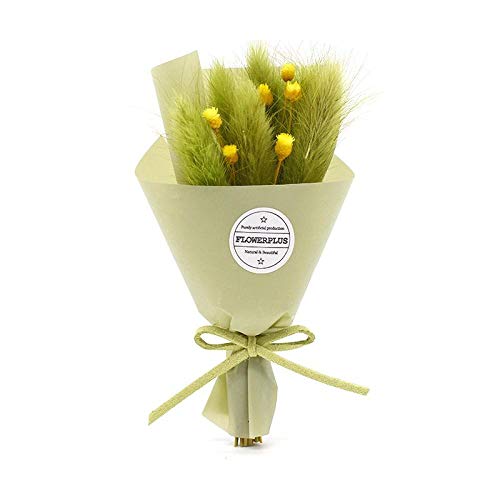 Gypsophila Flor eterna Regalo romántico Hecho a Mano Flor Delicado Ramo pequeño Flor Seca joyería Boda cumpleaños-P04