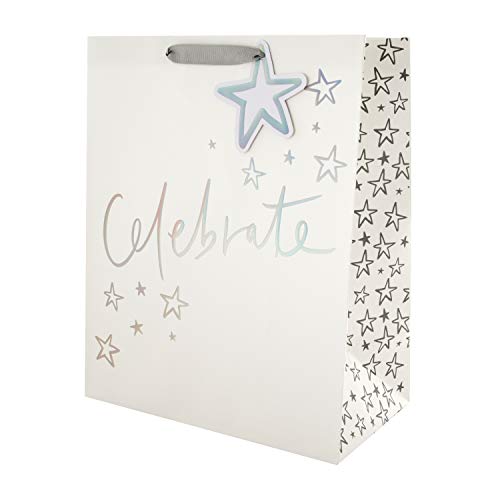 Hallmark - Bolsa de regalo para múltiples ocasiones (tamaño grande), diseño holográfico de texto