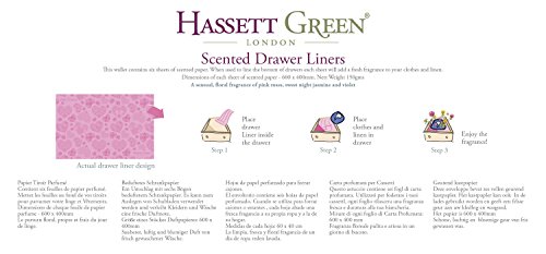 Hassett Green London verde corazones y rosas - Papel perfumado para cajones - Pack de 6 hojas tamaño 600 x 400
