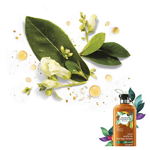 Herbal Essences Bío: Renew Suave Champú - 6 Recipientes de 400 ml - Total: 2400 ml (8001090223920)