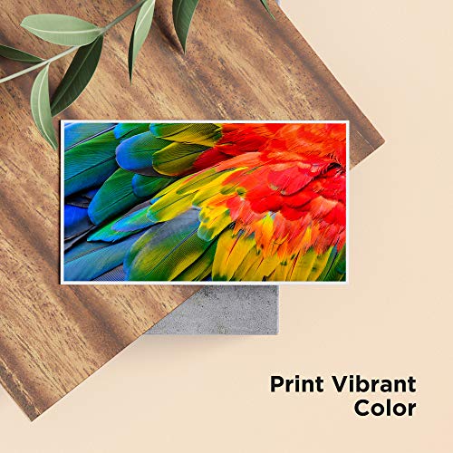 Hicorch 18XL Cartuchos de Tinta para Epson 18 XL Compatible con Epson Expression Home XP-215 XP-225 XP-302 XP-305 XP-312 XP-315 XP-322 XP-405 XP-412 XP-422 XP-425(6 Negro,3 Cian,3 Magenta,3 Amarillo)